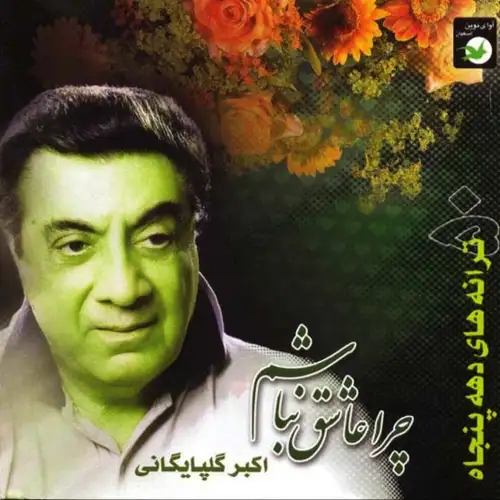 چرا عاشق نباشم