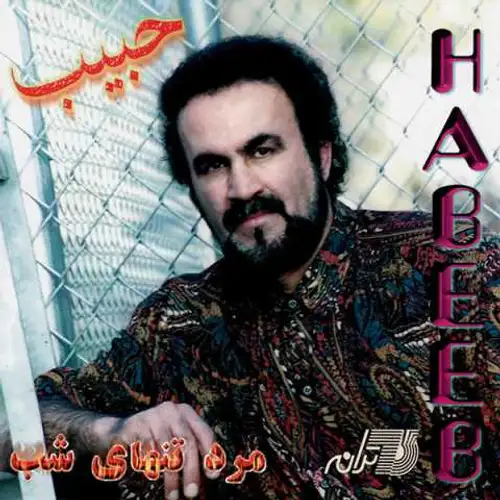 مرد تنهای شب